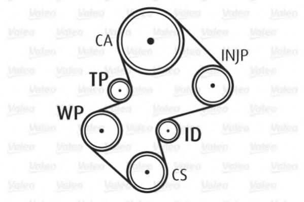 Set pompa apa + curea dintata 1