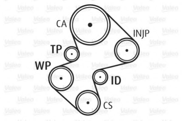 Set pompa apa + curea dintata 2