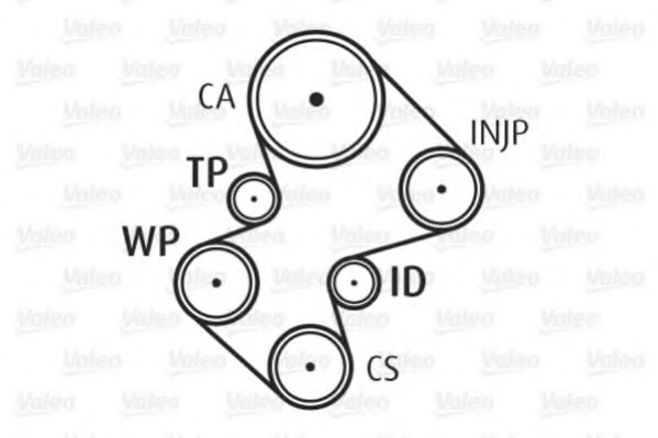 Set pompa apa + curea dintata 6