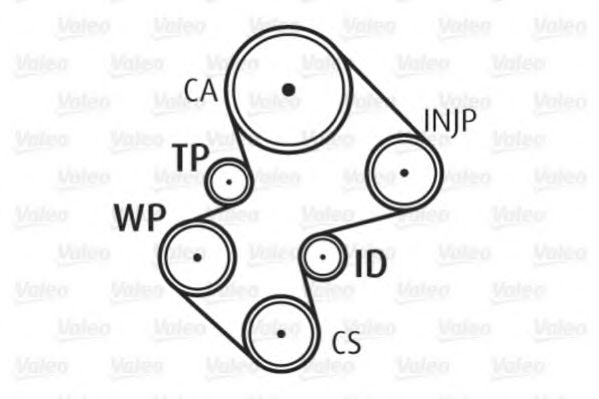 Set pompa apa + curea dintata 6