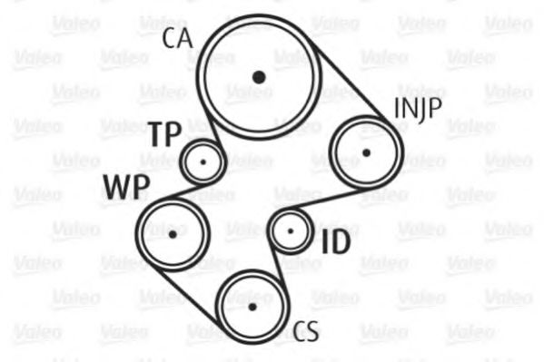 Set pompa apa + curea dintata 7