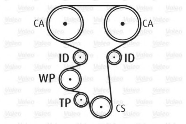 Set pompa apa + curea dintata 6