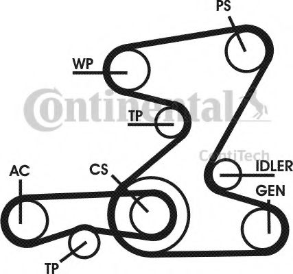 Set curea transmisie cu caneluri 15