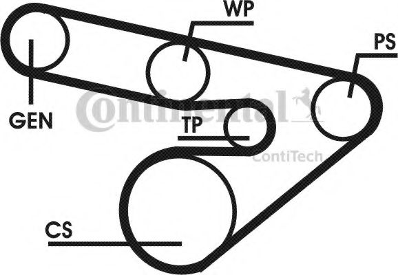 Set curea transmisie cu caneluri 15