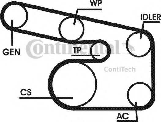 Set curea transmisie cu caneluri 15