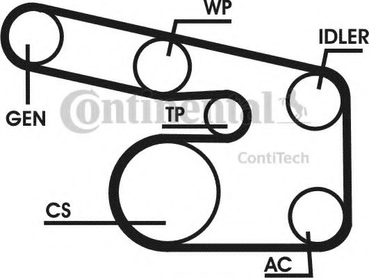 Set curea transmisie cu caneluri 15