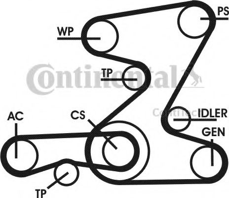 Set curea transmisie cu caneluri 14