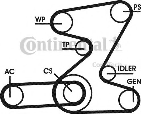 Set curea transmisie cu caneluri 14