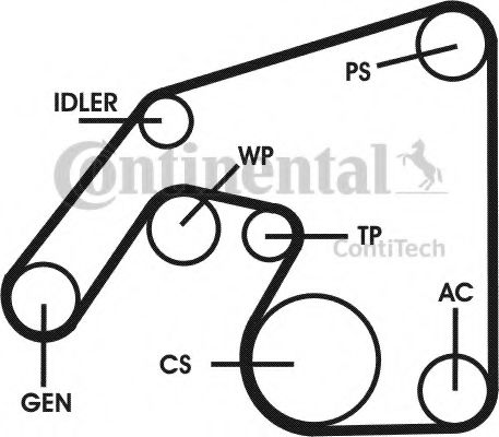 Set curea transmisie cu caneluri 15