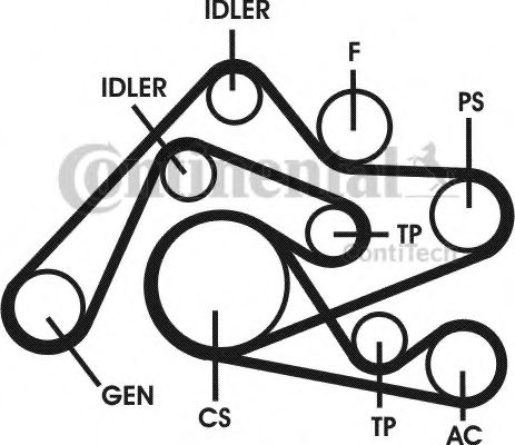 Set curea transmisie cu caneluri 15