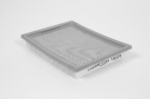 Filtru aer 1