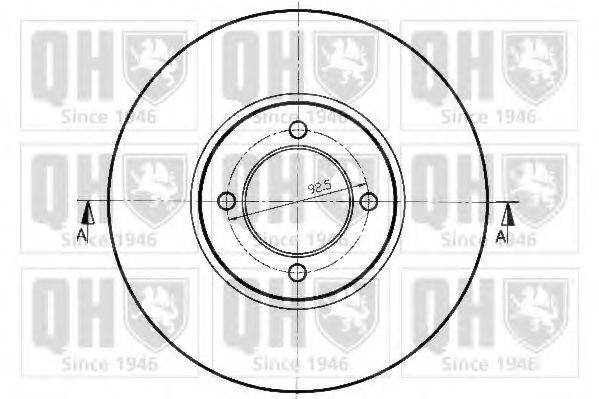 Disc frana 1
