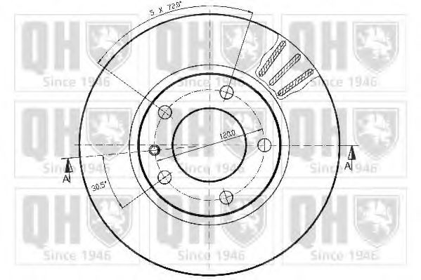 Disc frana 1