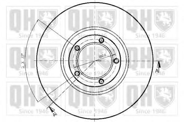 Disc frana 1