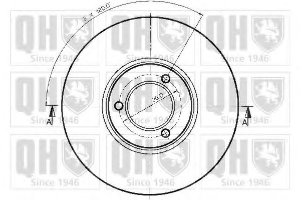 Disc frana 1