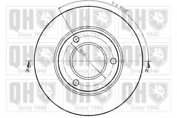 Disc frana 1