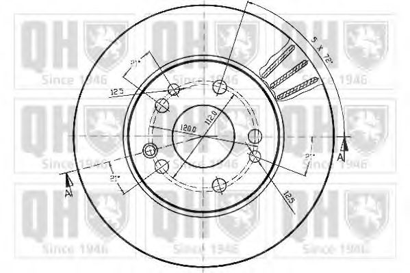 Disc frana 1