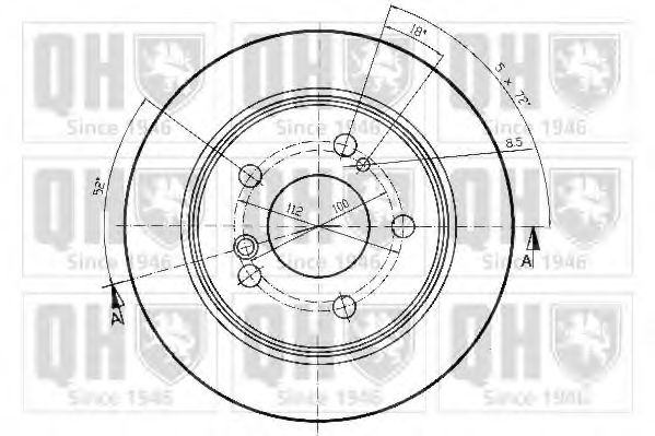 Disc frana 1