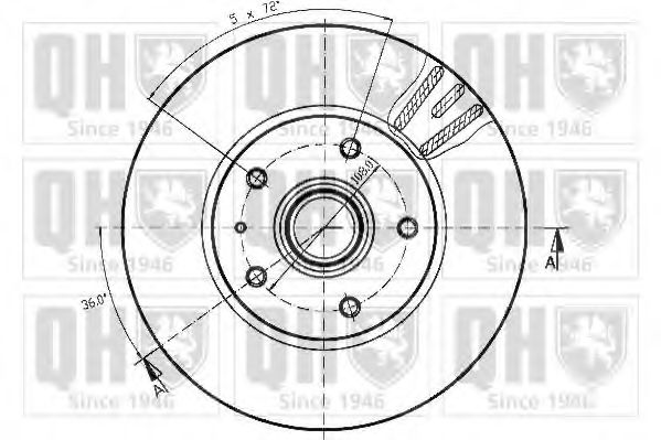 Disc frana 1