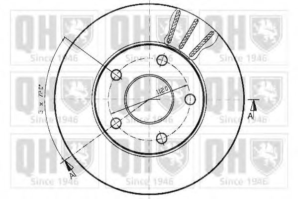 Disc frana 1
