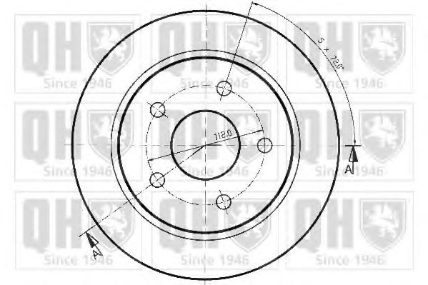 Disc frana 1