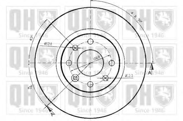 Disc frana 1