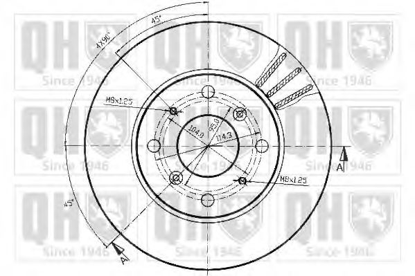 Disc frana 1