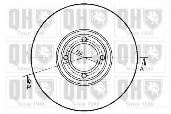 Disc frana 1