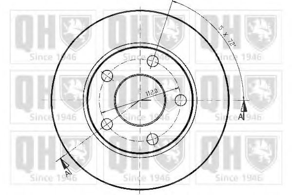 Disc frana 1