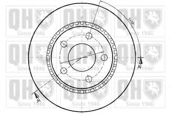 Disc frana 1