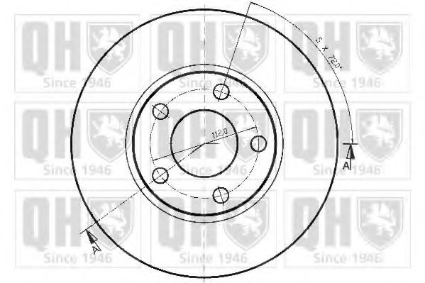 Disc frana 1