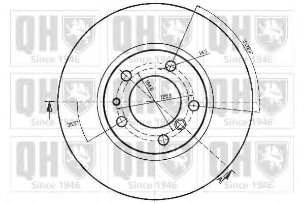 Disc frana 1