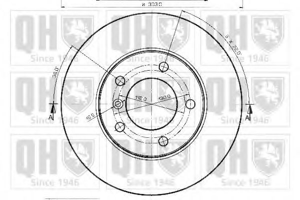 Disc frana 1