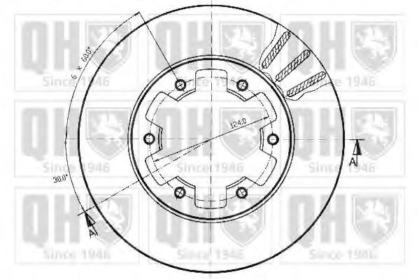 Disc frana 1