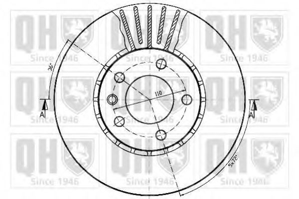 Disc frana 1