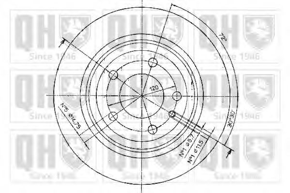 Disc frana 1