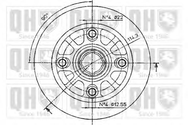 Disc frana 1