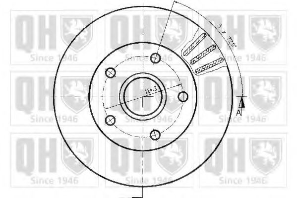 Disc frana 1
