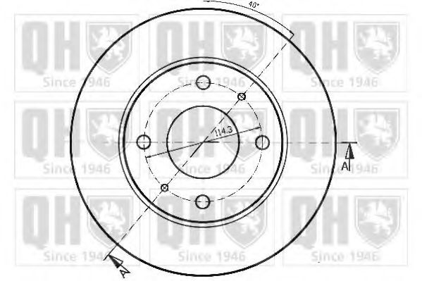 Disc frana 1