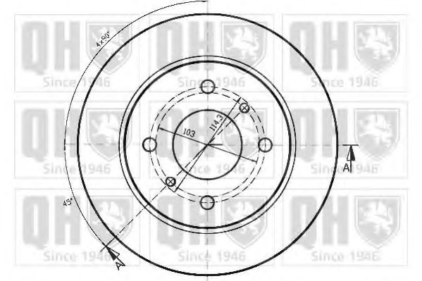 Disc frana 1
