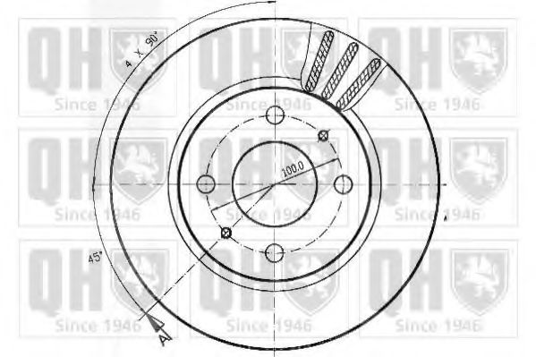 Disc frana 1