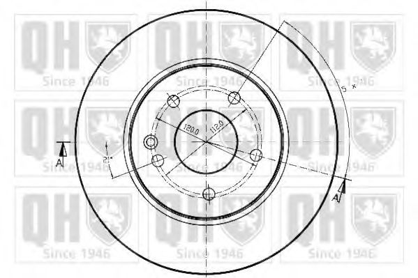 Disc frana 1