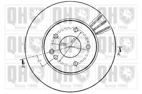 Disc frana 1