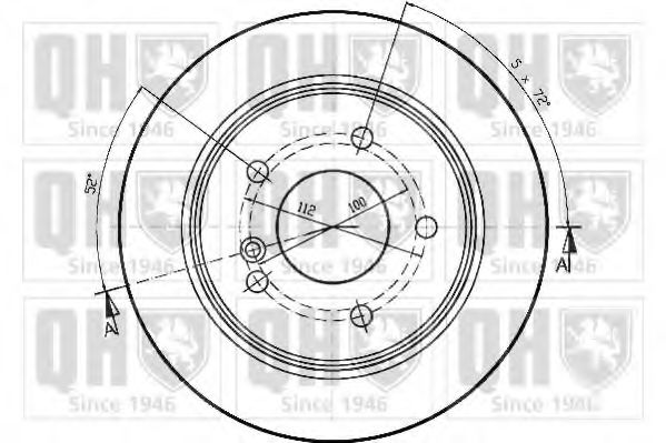 Disc frana 1