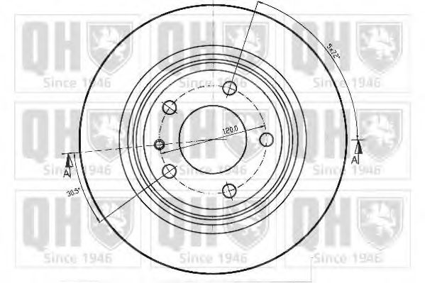 Disc frana 1