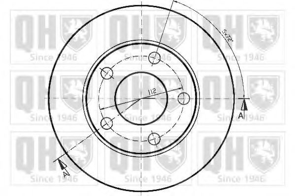Disc frana 1