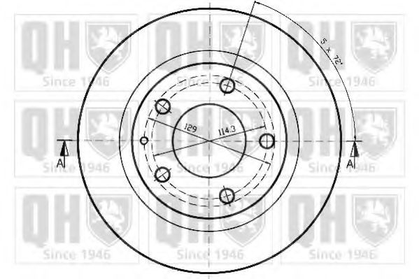 Disc frana 1