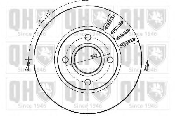 Disc frana 1