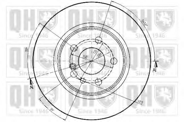 Disc frana 1
