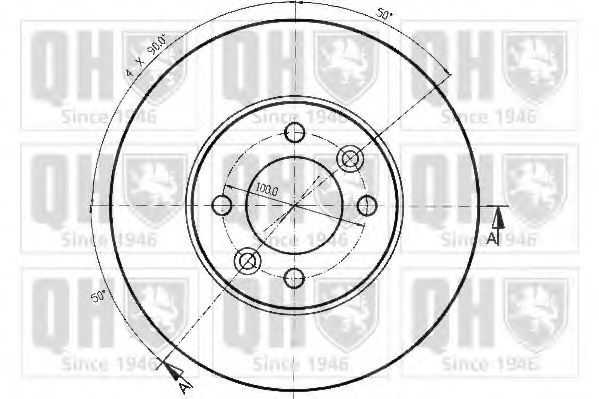 Disc frana 1